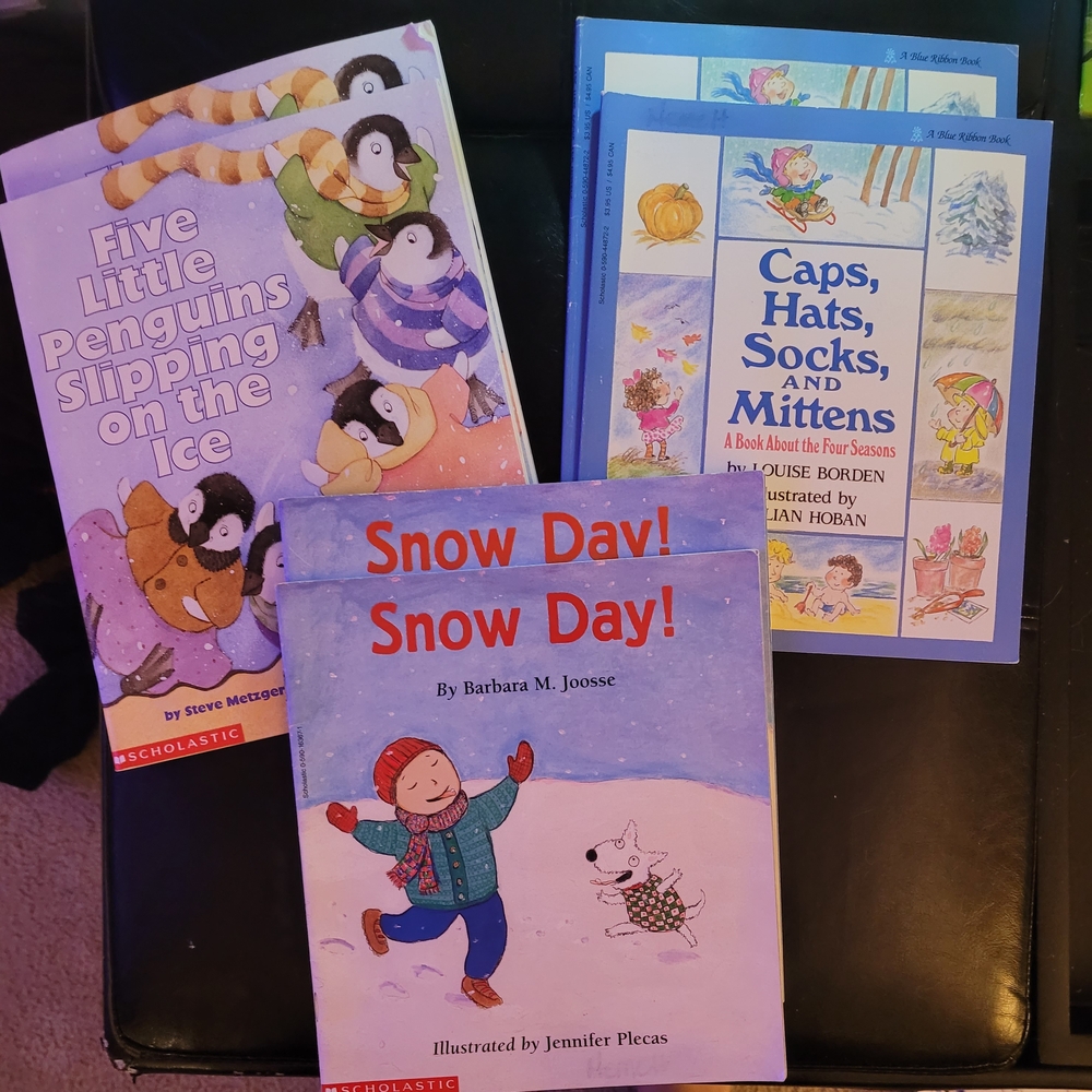 Children's Book Bundle - Penguins, Snow Day, and Seasons